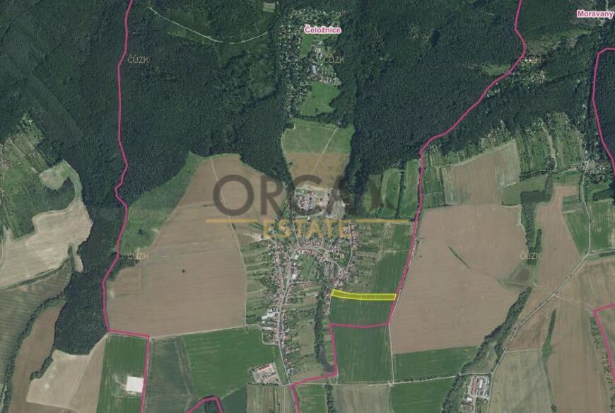 Prodej pole v k.ú. Čeložnice