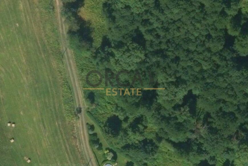 0,2 ha ostatní plochy v k.ú. Vlčí Hora