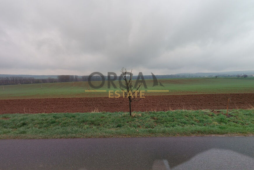 0,2 ha pozemku v k.ú. Morkovice