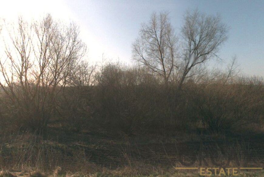 0,5 ha lesního pozemku v k.ú. Stařechovice