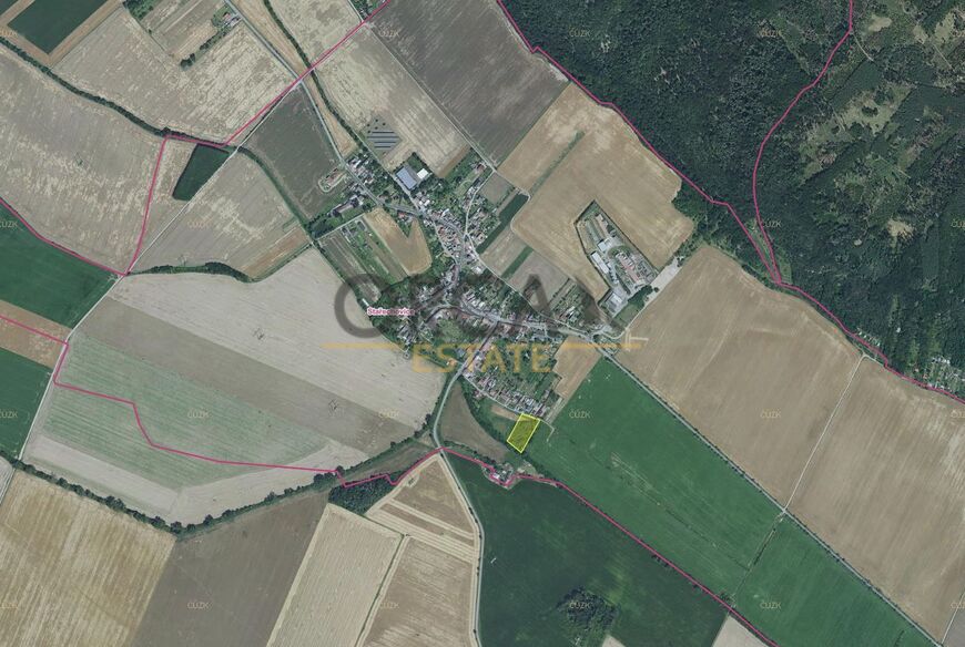 0,5 ha lesního pozemku v k.ú. Stařechovice