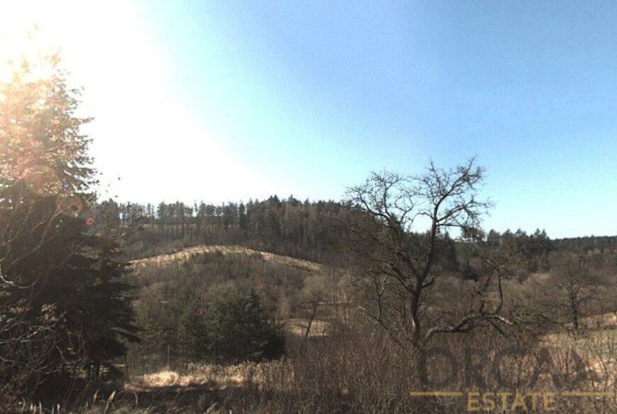 Podíl 268 m2 na trvalém travním porostu v k.ú Prostějovičky