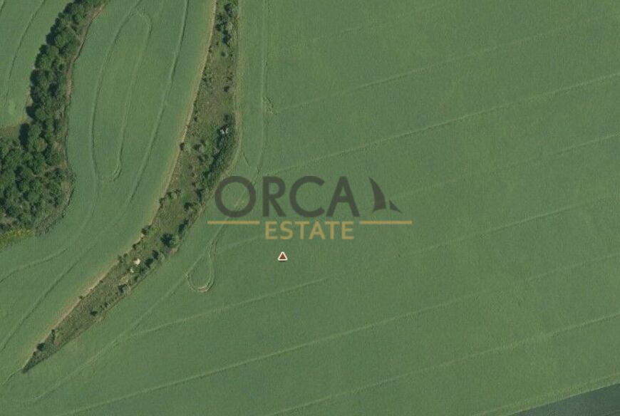 1,3 ha pozemku v k.ú. Moravany u Brna