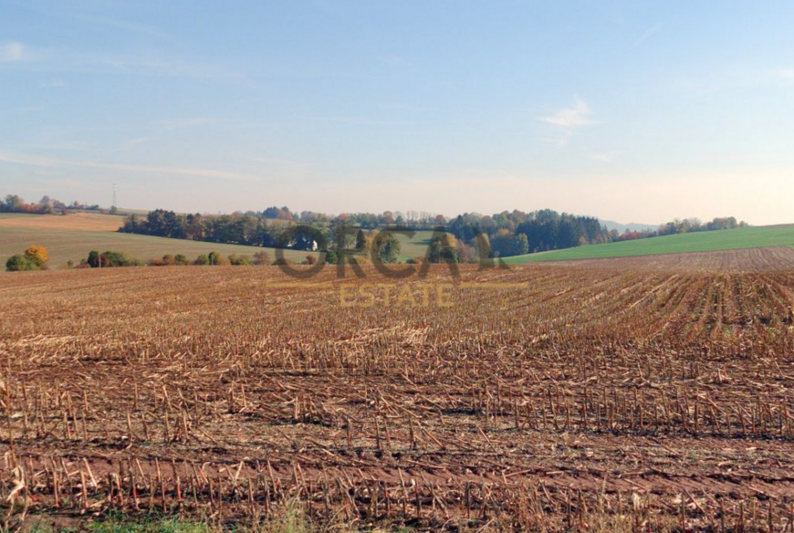 0,5 ha pozemku v k.ú. Lomnice nad Popelkou