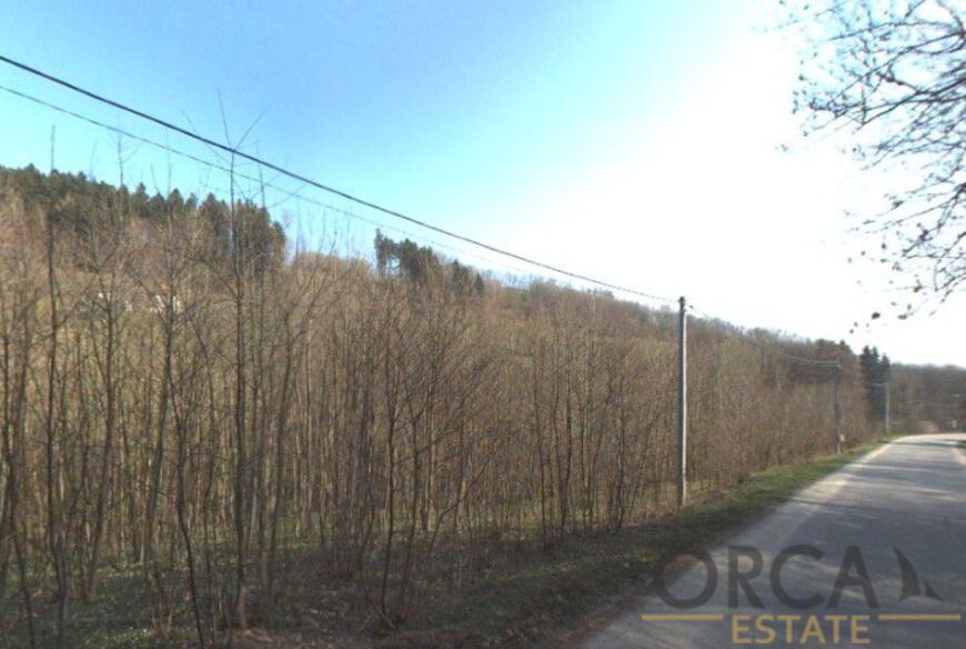 Prodej pozemků 5300 m2 v k. ú. Víchovská Lhota