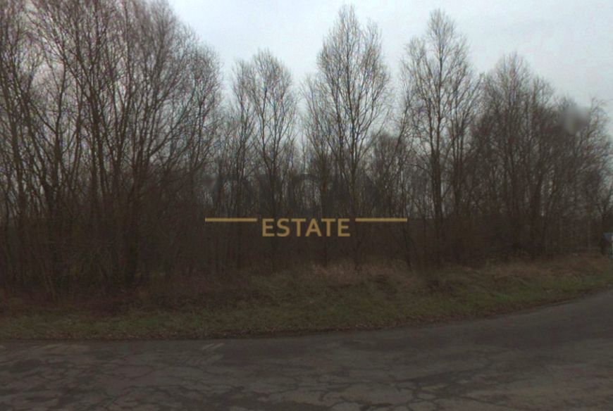 0,5 ha pozemků v k.ú. Dub u Nového Jičína