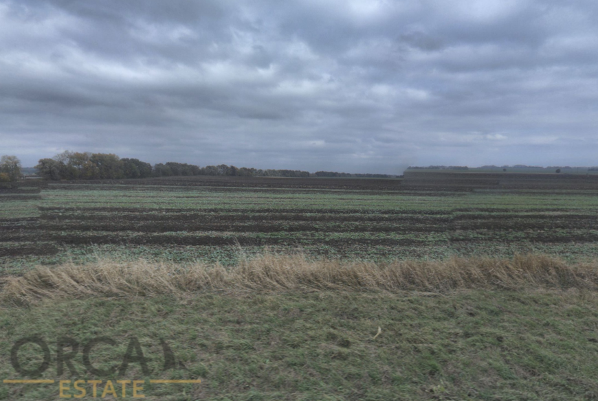 Spoluvlastnický podíl 840 m2 na pozemcích v k.ú. Prušánky