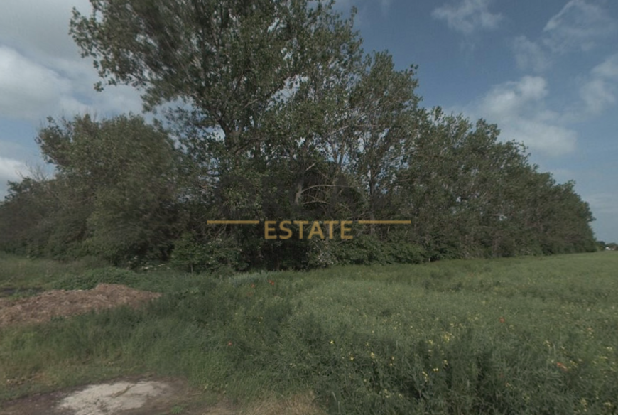 0,1 ha orné půdy v k.ú. Moravská Nová Ves