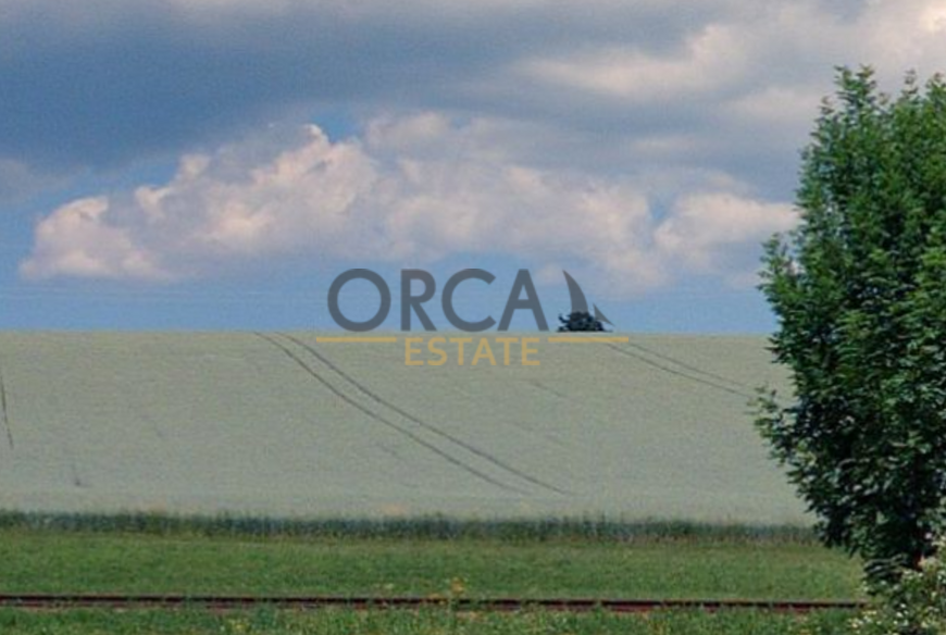 0,93 ha pozemku v k.ú. Dolní Branná