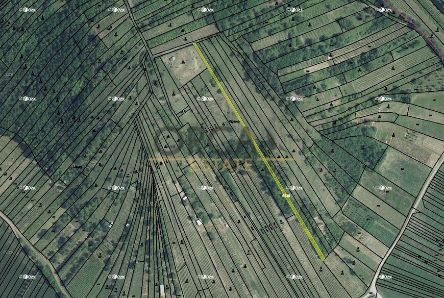 0,1 ha trvalého travního porostu v k.ú. Kobylí na Moravě