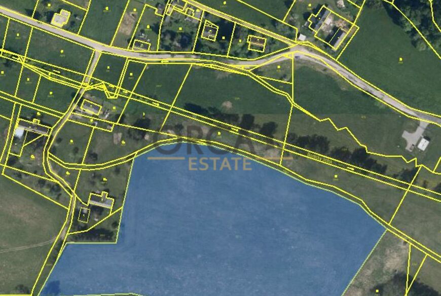 Prodej podílu 1/24 pozemků o podílové výměře 1464 m2 v k.ú. Borovnice u Staré Paky (okres Trutnov)