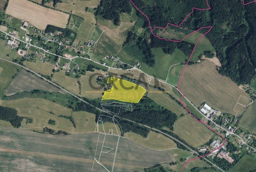 Prodej podílu 1/24 pozemků o podílové výměře 1464 m2 v k.ú. Borovnice u Staré Paky (okres Trutnov)