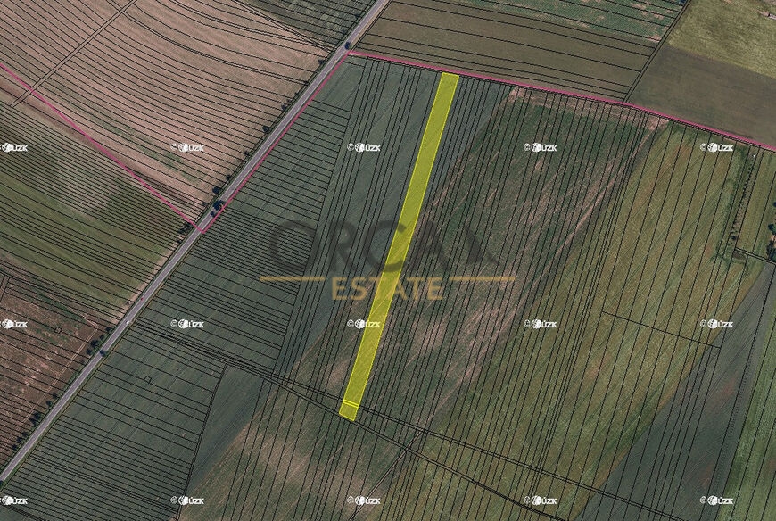 0,3 ha pozemků v k.ú. Holasice