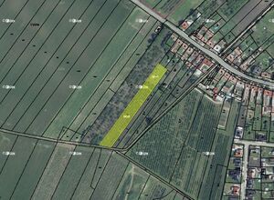 Fotografie nemovitosti - 0,2 ha pozemků v k.ú. Moravský Žižkov