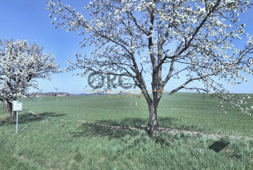 0,54 ha pozemků v k.ú. Moravany u Kyjova