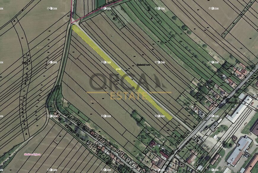 0,2 ha orné půdy v k.ú. Skalka u Kyjova