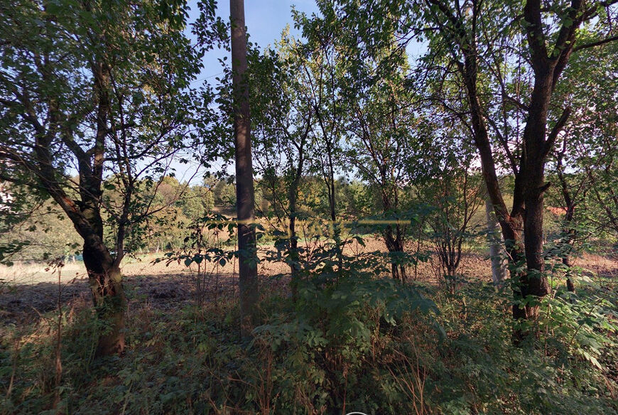 Pozemek v k.ú. Nová Lhota u Veselí nad Moravou