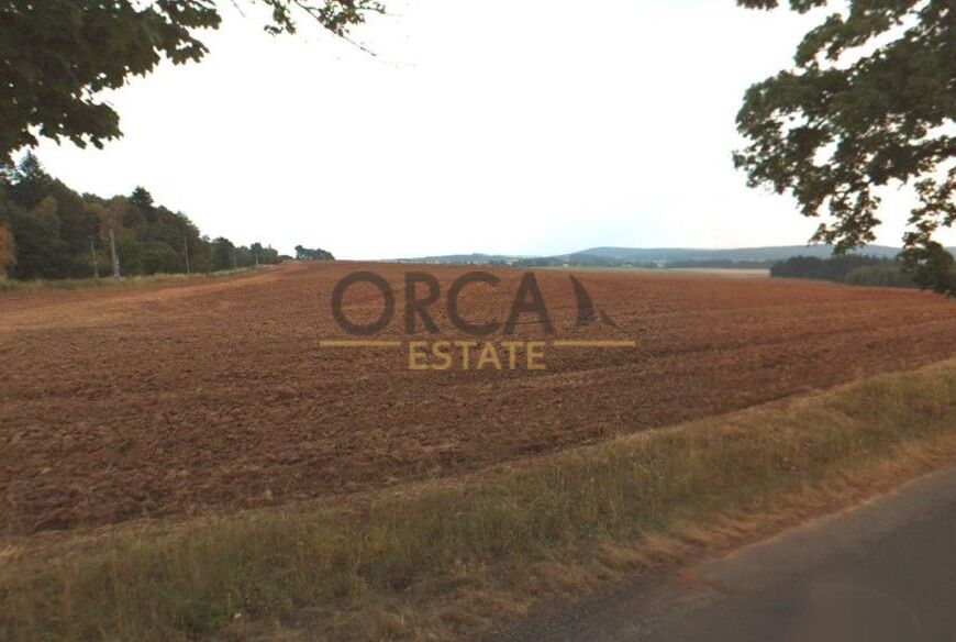 13 ha pozemků v k. ú. Studenec u Trutnova