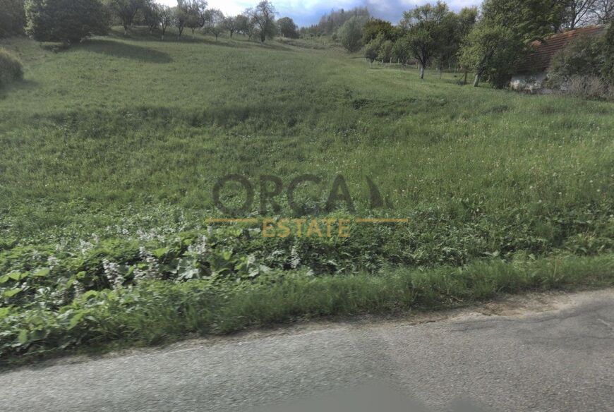 Prodej 0,6 ha zemědělských pozemků v k. ú. Lopeník