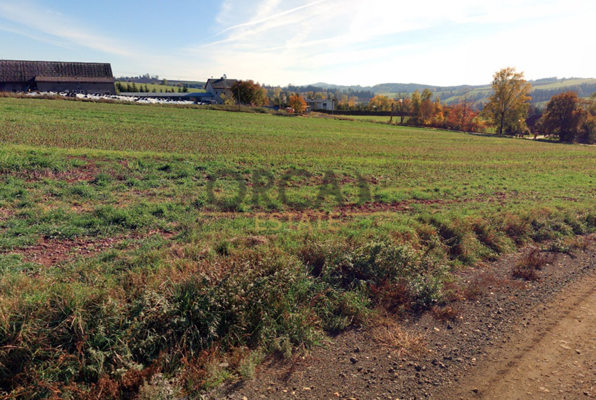 Prodej 0,3 ha zajímavých pozemků v k. ú. Libštát