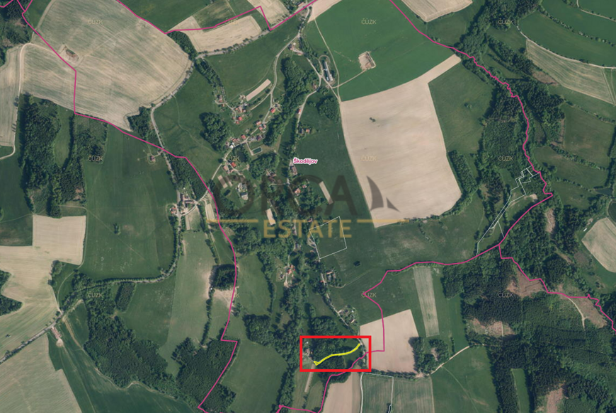 Prodej ostatní plochy v k. ú. Škodějov