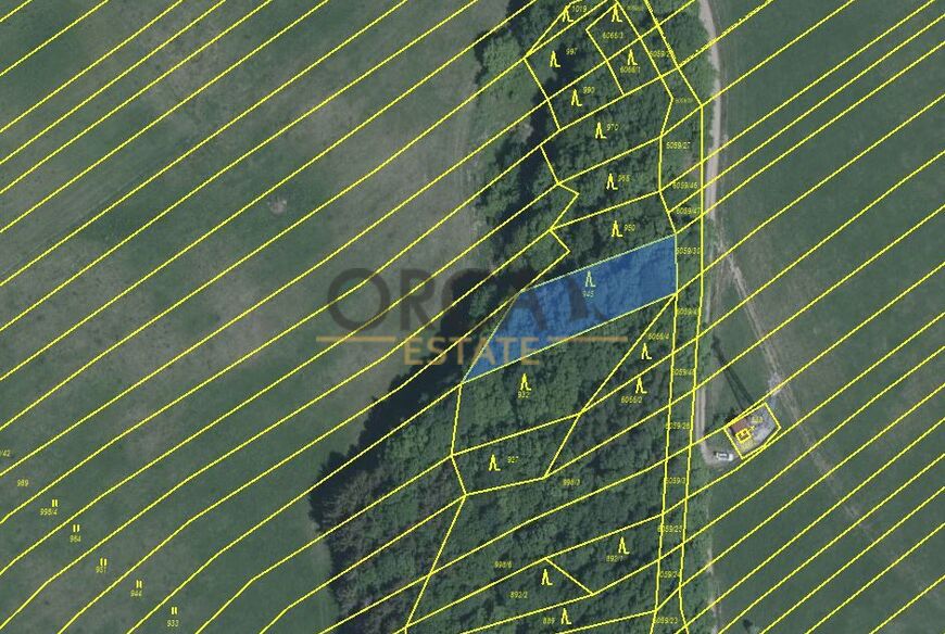 Prodej lesních pozemků v k.ú. Pitín o výměře 3127 m2