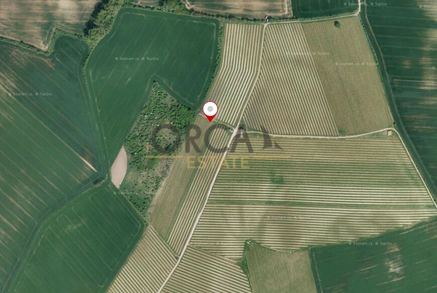 Prodej vinice ve Vracově