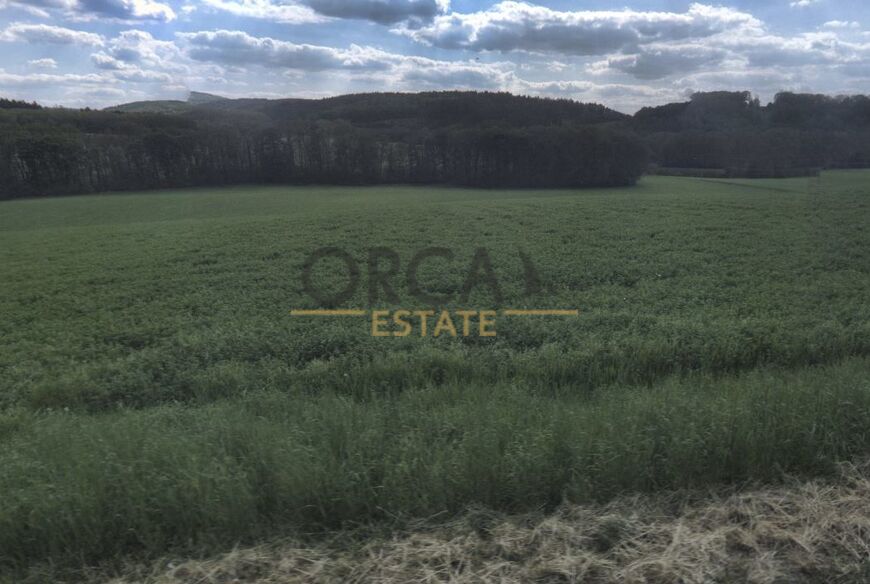 Prodej 2 pozemků o výměře 2973 m2 v k.ú. Bojkovice (okres Uherské Hradiště)