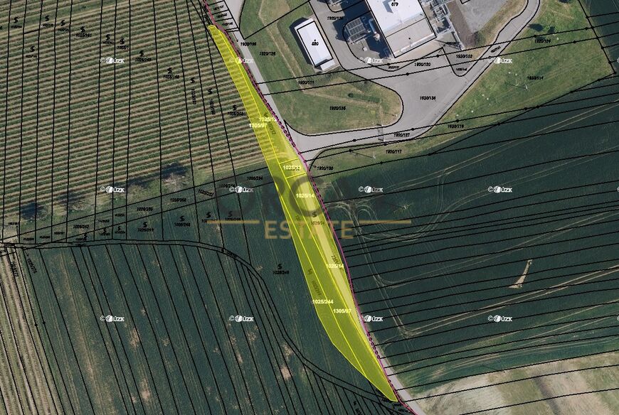 0,3 ha pozemků v k.ú. Dambořice