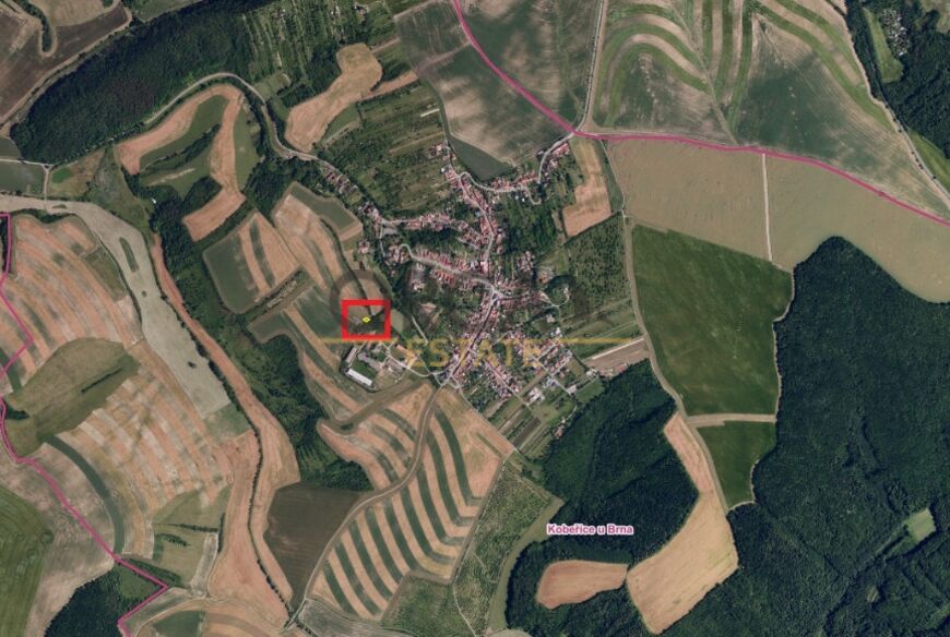 Pozemek v k.ú. Kobeřice u Brna