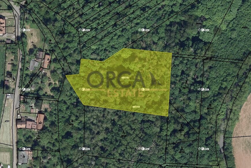 1 ha pozemků v k.ú. Solopysky u Loun