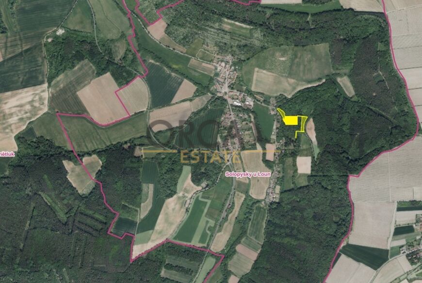 1 ha pozemků v k.ú. Solopysky u Loun