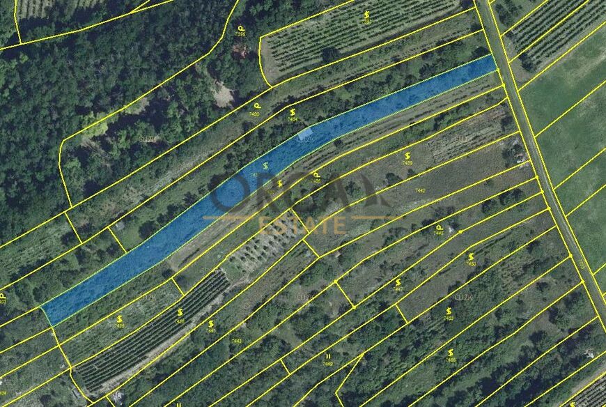 Prodej vinice v k. ú. Velké Němčice