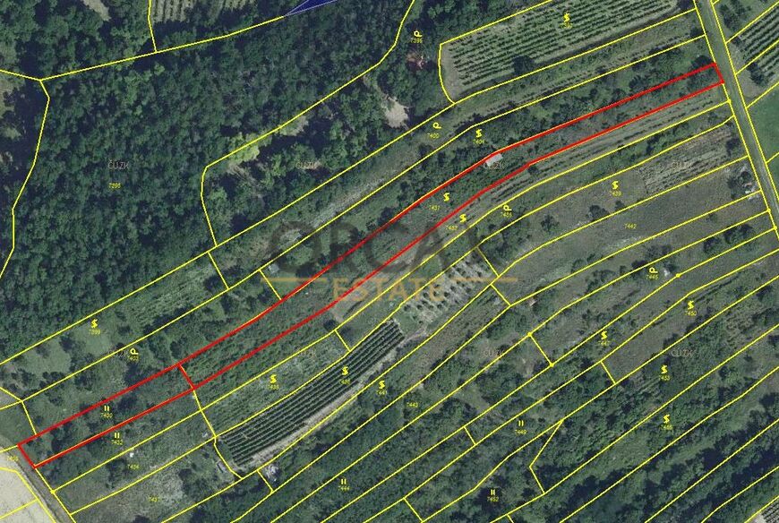 Prodej vinice v k. ú. Velké Němčice