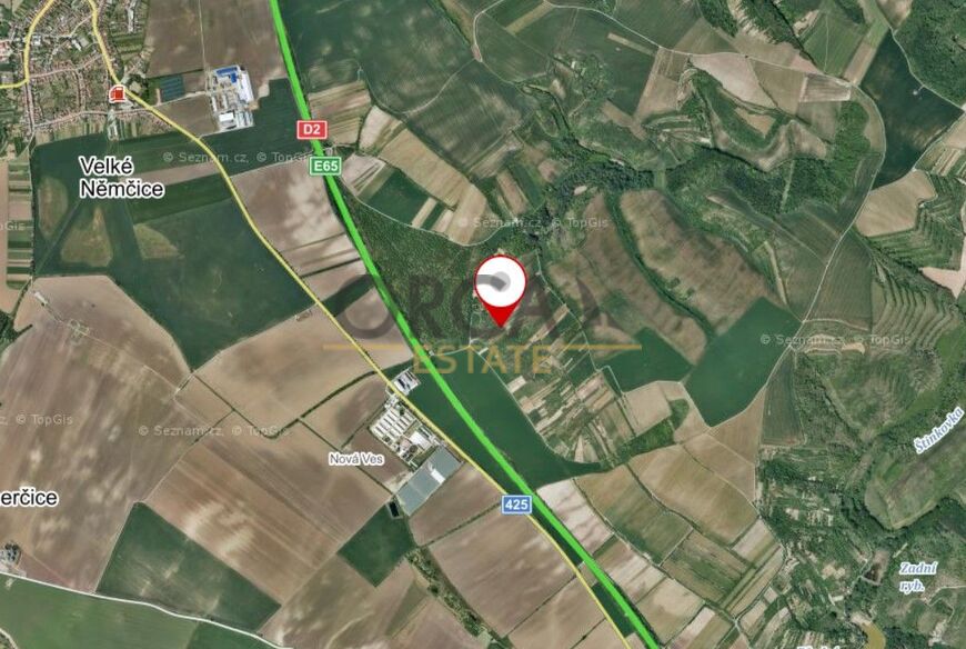 Prodej vinice v k. ú. Velké Němčice