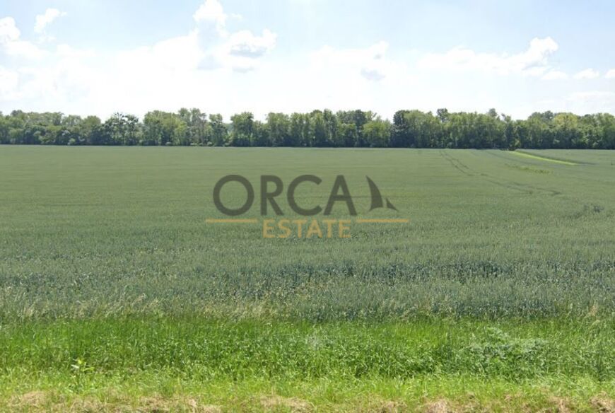 Prodej pozemku v k.ú. Přítluky o výměře 2963 m2