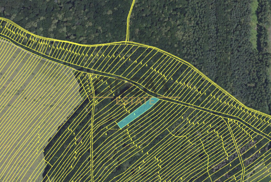 Mistřice 1, 3672 m2