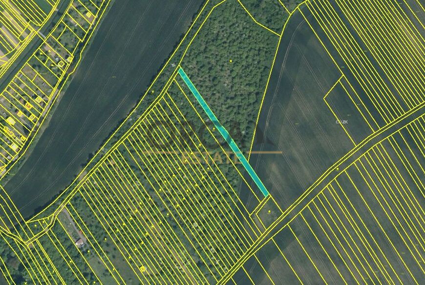 Prodej 1,8 ha pozemků v k. ú. Březolupy