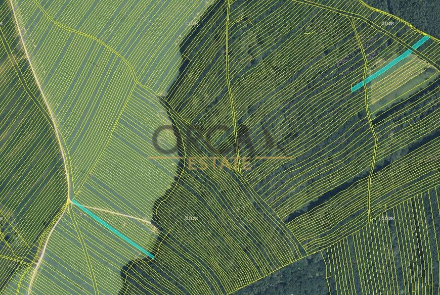 Prodej 0,6 ha pozemků v k. ú. Mistřice I