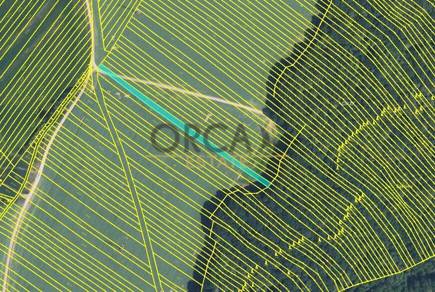 Prodej 0,6 ha pozemků v k. ú. Mistřice I