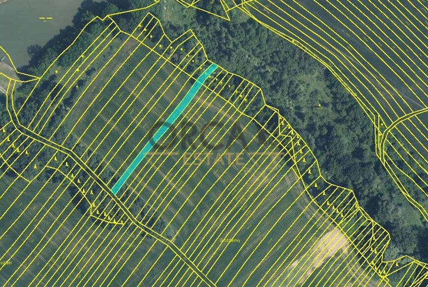 Prodej 0,6 ha pozemků v k. ú. Mistřice I