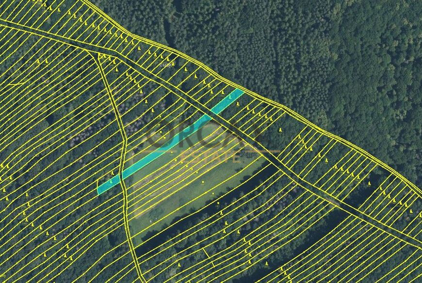 Prodej 0,6 ha pozemků v k. ú. Mistřice I