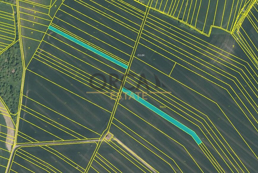 Prodej 0,4 ha orné půdy v k. ú. Jestřabice