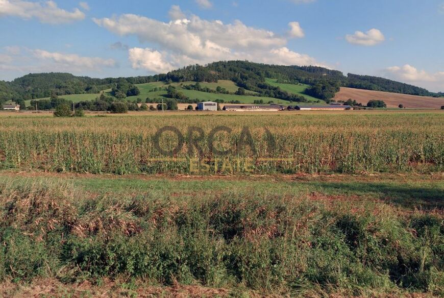 Prodej zemědělskému pozemku o výměře 4545 m2 v k.ú. Městečko Trnávka