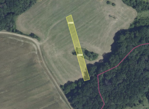 Fotografie nemovitosti - Prodej podílu Žlutava, 820 m2