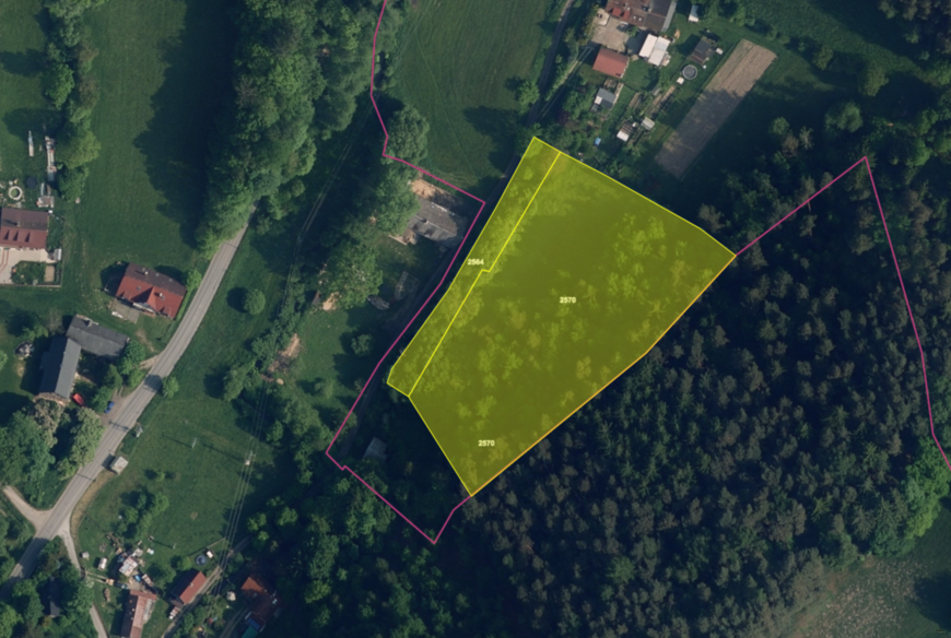 Český dub (7 111 m2)