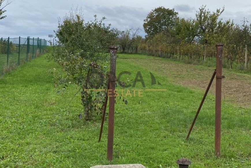 Prodej rodinného domu v Moravanech u Kyjova