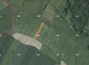 Fotografie nemovitosti - Borkovice (4 432 m²)