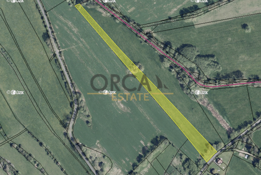 Prodej pozemku Arnultovice u Lučního Chvojna, 13307 m2