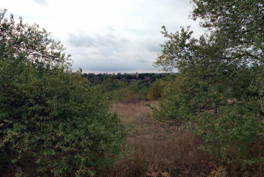 Dolní Kounice (1 406 m2)